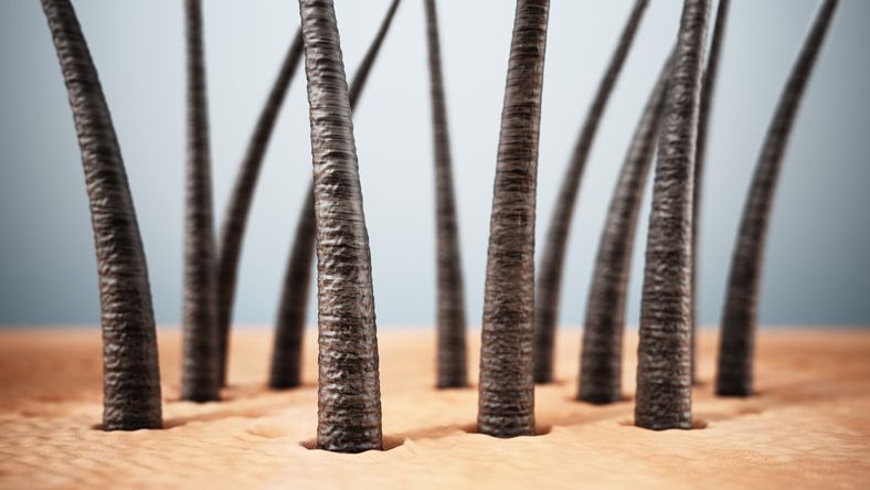 毛囊已萎縮人士