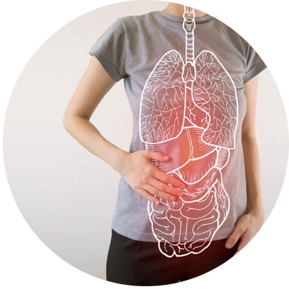 肺部／腸胃濕熱