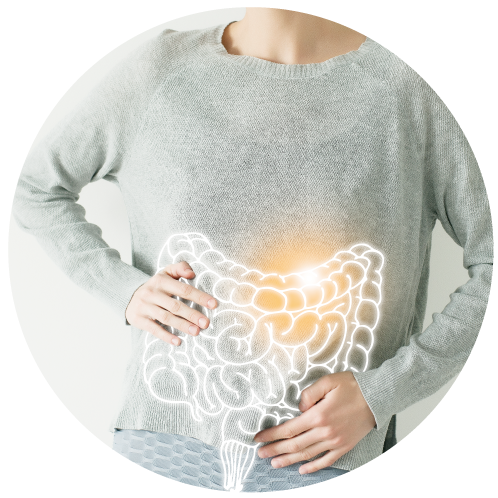 消化能力比較弱的人士