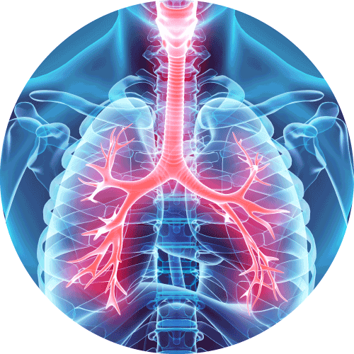 下呼吸道或胸肺疾病