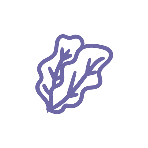 毛囊單位摘取術 (FUE)