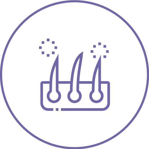 每秒去除達500條毛髮