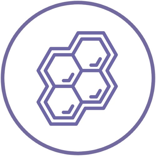 網狀分段式 射頻技術