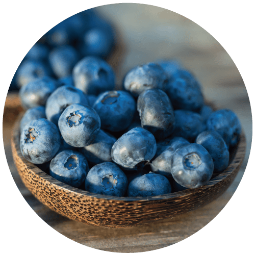 藍莓