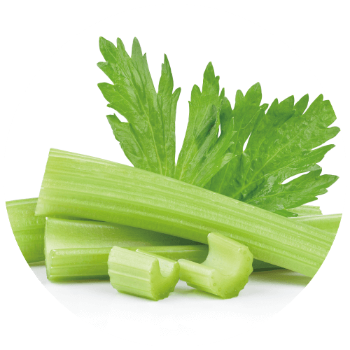 西芹